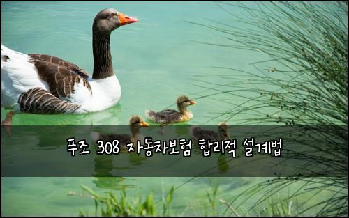 푸조 308 자동차보험 합리적 설계법