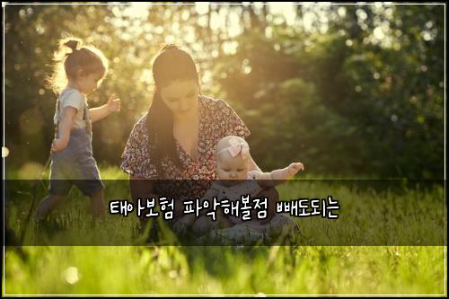 태아보험 파악해볼점  빼도되는