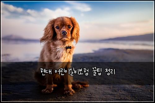 현대 어린이실비보험 꿀팁  정리