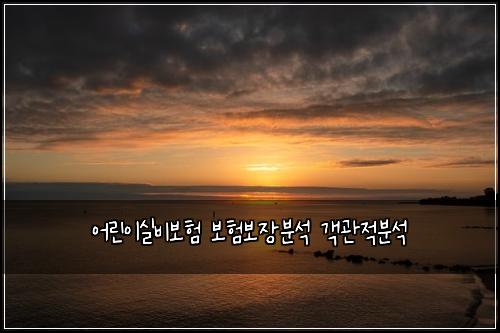 어린이실비보험 보험보장분석 객관적분석