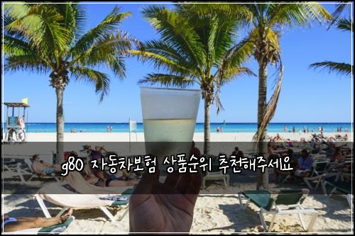 g80 자동차보험 상품순위  추천해주세요