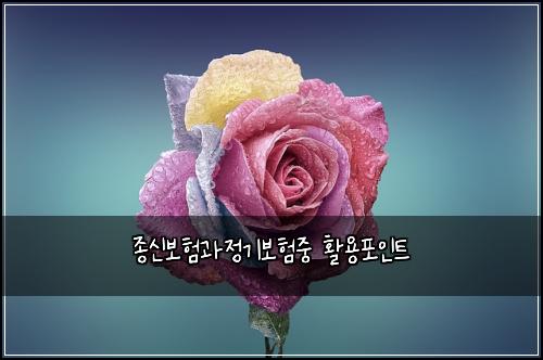 종신보험과정기보험중 활용포인트