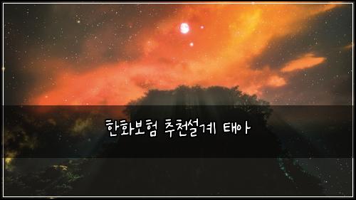 한화보험 추천설계  태아