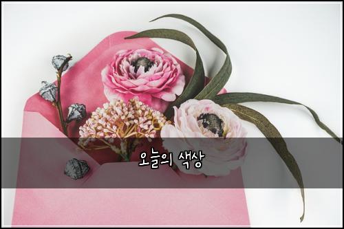 오늘의 색상