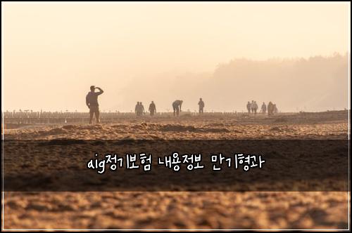 aig정기보험 내용정보  만기형과