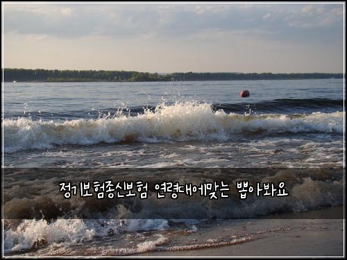 정기보험종신보험 연령대에맞는 뽑아봐요
