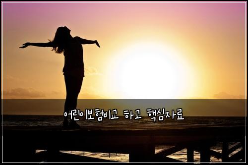 어린이보험비교 하고 핵심자료