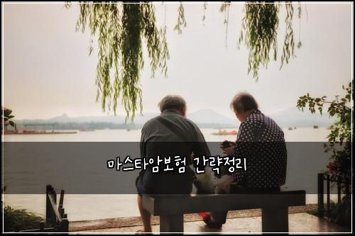 마스타암보험 간략정리 