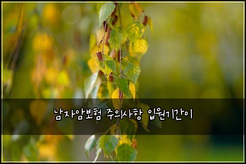 남자암보험 주의사항  입원기간이