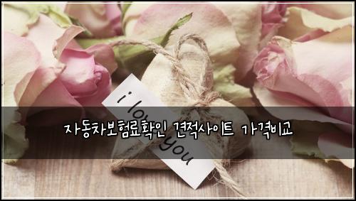 μλ차보νλ£νμΈ κ²¬μ μ¬μ΄νΈ κ°κ²©λΉκ΅