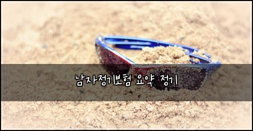 남자정기보험 요약  정기
