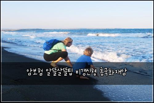 암보험 알뜰살뜰팁  비갱신형 흥국화재암