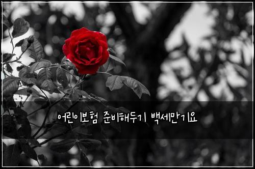 어린이보험 준비해두기  백세만기요