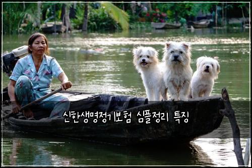 신한생명정기보험 심플정리  특징
