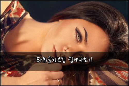 5t화물차보험 쉽게해보기 