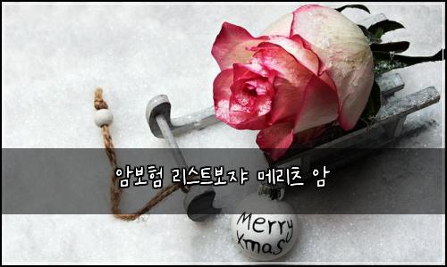 암보험 리스트보쟈  메리츠 암