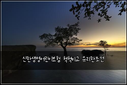 신한생명어린이보험 척척비교  유리한조건