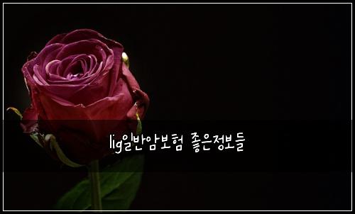 lig일반암보험 좋은정보들 