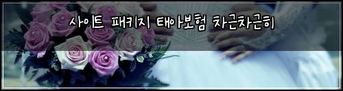 사이트 패키지 태아보험 차근차근히 