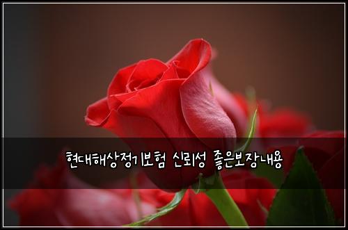 현대해상정기보험 신뢰성  좋은보장내용