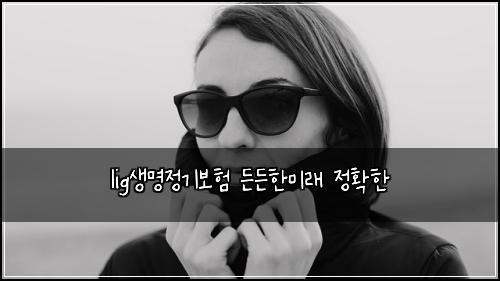 lig생명정기보험 든든한미래  정확한