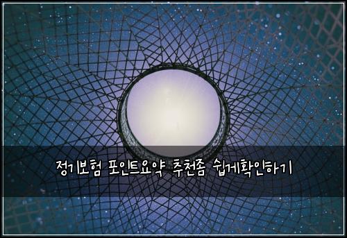 정기보험 포인트요약  추천좀 쉽게확인하기