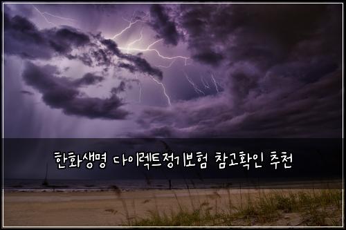 한화생명 다이렉트정기보험 참고확인  추천