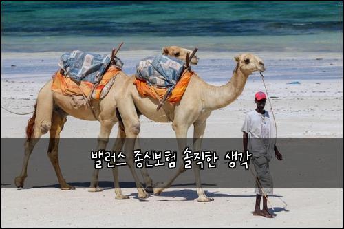 밸런스 종신보험 솔직한 생각