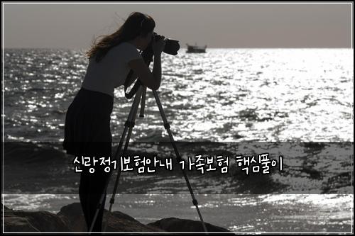 신랑정기보험안내 가족보험 핵심풀이