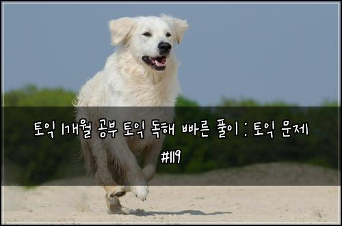 토익 1개월 공부 토익 독해 빠른 풀이 : 토익 문제 #119