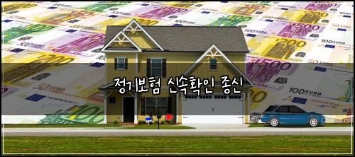 정기보험 신속확인  종신