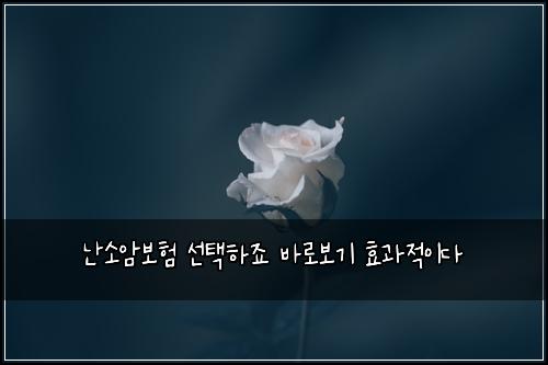 난소암보험 선택하죠  바로보기 효과적이다