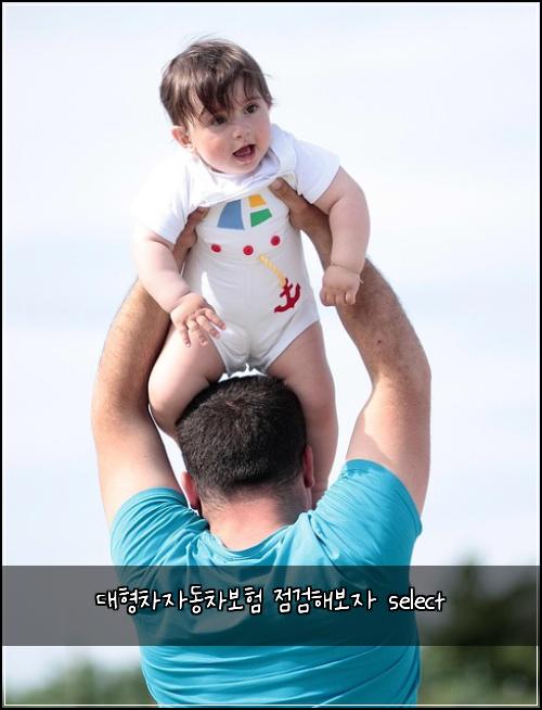 대형차자동차보험 점검해보자  select
