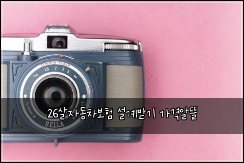 26์ด์๋์ฐจ๋ณดํ ์ค๊ณ๋ฐ๊ธฐ ๊ฐ๊ฒฉ์๋ฐ