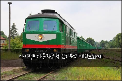 다이랙트자동차보험 인기분석  메리츠화재