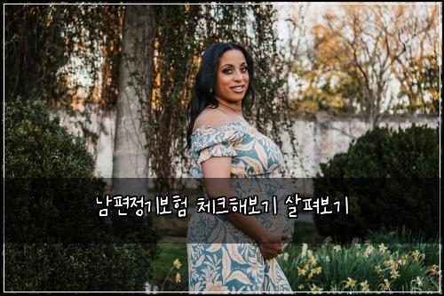 남편정기보험 체크해보기  살펴보기