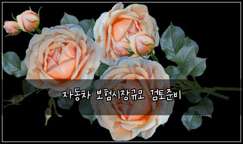 자동차 보험시장규모 검토준비