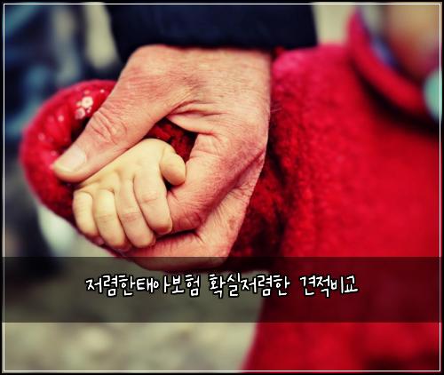 ์ ๋ ดํํ์๋ณดํ ํ์ค์ ๋ ดํ ๊ฒฌ์ ๋น๊ต