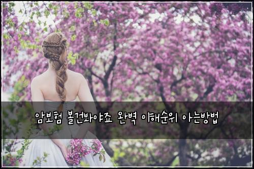 μ보ν 볼건λ΄μΌμ£ μλ²½ μ΄ν΄μμ μλλ°©λ²