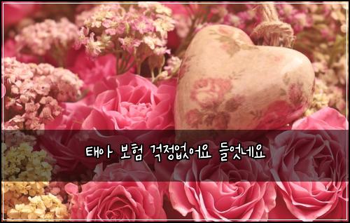 태아 보험 걱정없어요  들엇네요