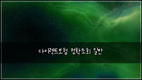 다이렉트보험 정확조회  일반