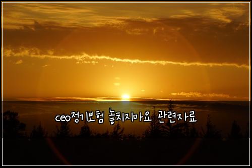 ceo정기보험 놓치지마요  관련자료