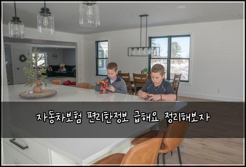자동차보험 편리한정보  급해요 정리해보자