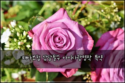 태아보험 상담필수  아이사랑명작 특약