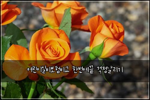 ģ“린ģ“ģ¤ė¹ė³“ķė¹źµ ķė²ģė ź±±ģ ė 리기