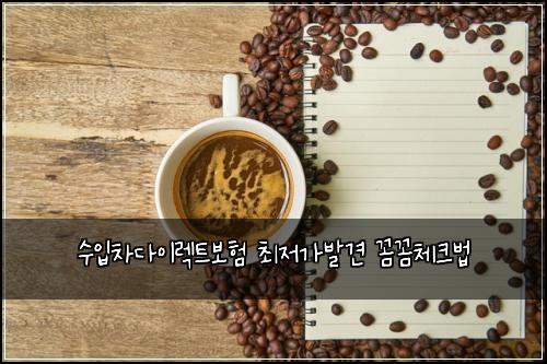 수입차다이렉트보험 최저가발견  꼼꼼체크법