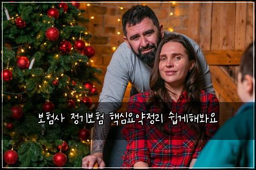 보험사 정기보험 핵심요약정리 쉽게해봐요