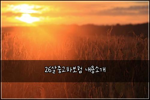 26์ด์ค๊ณ ์ฐจ๋ณดํ ๋ด์ฉ์๊ฐ