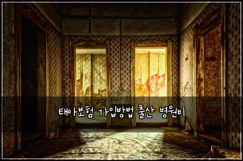 태아보험 가입방법  출산 병원비