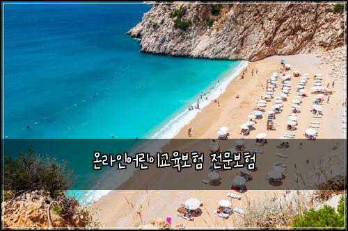 온라인어린이교육보험 전문보험 